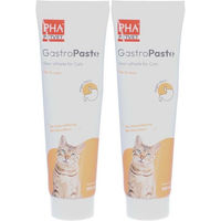 Produktbild von PetVet PHA GastroPaste für Katzen und Kitten zur Unterstützung der Verdauung und des Magen-Darm-Traktes 200g