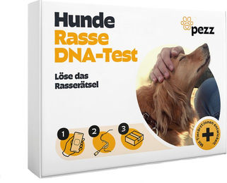 Pezz DNA Rassetest für Hunde 1 Stück – Bild 1 von 1