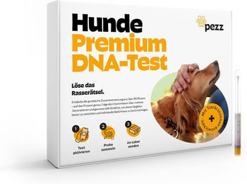Pezz Hunde DNA Gentest zur Bestimmung der Rasse sowie MDR1-Analyse und Erbkrankheiten – Bild 1 von 2