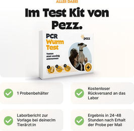 Pezz PCR Wurmtest für Hunde 1 Stück – Bild 1 von 1