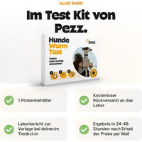Produktbild von Pezz Standard Wurmtest für Hunde 1 Stück