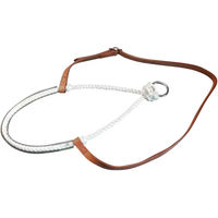 Produktbild von Pferde-Nasenriemen mit Ring aus Leder von Pool's in Braun