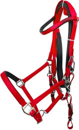 Pferde-Reittrense Zaldi Raid Endurance AZBT 790 aus Biothane – Bild 1 von 1