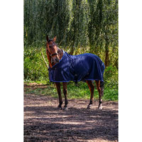 Produktbild von Pferdedecke aus feinem Netzgewebe Riding World Blau