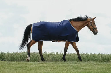 Produktbild von Pferdedecke aus Polyester von Riding World in Blau