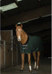 Produktbild von Pferdedecke Equithème Teddy 0g Grün aus Polyester