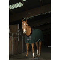 Produktbild von Pferdedecke Equithème Teddy 0g Grün aus Polyester