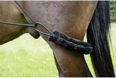 Pferdedecke HKM Schwarz für Vollblut – Bild 1 von 1
