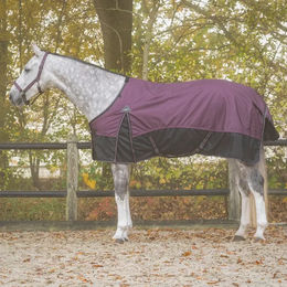 Produktbild von Pferdedecke QHP Collection Rot Lila 205 cm