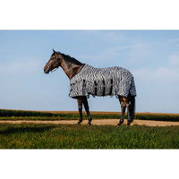 Produktbild von Pferdedecke Riding World Belly Mesh aus Polyester