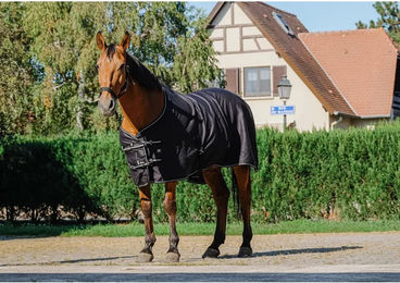 Produktbild von Pferdedecke Riding World Schwarz