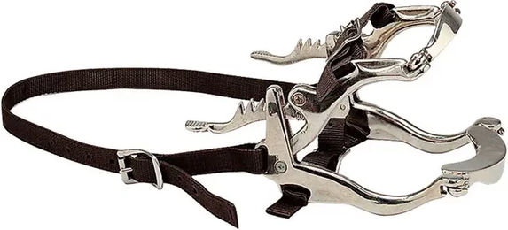 Produktbild von Pferdegebiss Zaldi 11891P aus Nylon in Silber