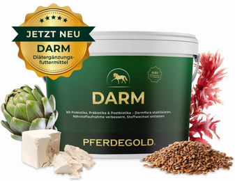 Pferdegold Darm Probiotika zur Unterstützung der Magen-Darm-Verdauung für Pferde – Bild 1 von 4