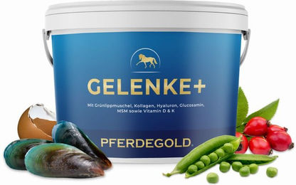 Pferdegold Gelenke+ Dopingfreies Nahrungsergänzungsmittel für Pferde – Bild 1 von 4