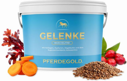 Pferdegold Gelenke Nahrung für Pferde dopingfrei und getreidefrei – Bild 1 von 3