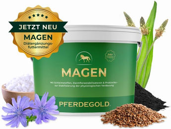 Pferdegold Magen-Darm Unterstützung für Pferde zur Förderung der Verdauung – Bild 1 von 4