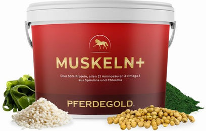 Pferdegold Muskeln+ Nahrungsergänzung mit Vitaminen zur Unterstützung der Muskulatur für Pferde – Bild 1 von 4