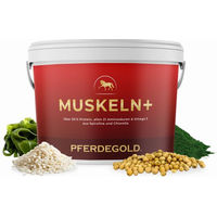 Produktbild von Pferdegold Muskeln+ Nahrungsergänzung mit Vitaminen zur Unterstützung der Muskulatur für Pferde