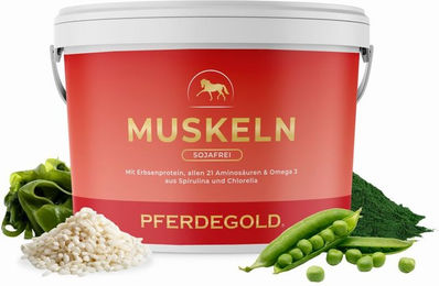 Pferdegold Nahrungsergänzung zur Unterstützung der Muskulatur für Pferde sojafrei mit Vitaminen – Bild 1 von 4
