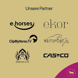 Pferdegold Stoffwechsel Pellets für Pferde 1,5kg - 1,5 kg – Bild 1 von 2