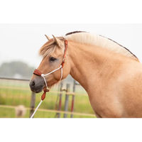 Produktbild von Pferdehalfter aus Leder Edix Saddles Resi Braun