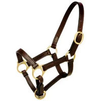Produktbild von Pferdehalfter aus Leder von Hispano Hipica in Braun für Ponys