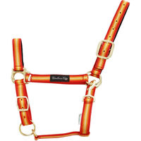 Produktbild von Pferdehalfter aus Nylon mit Lederverstärkung von Umbria Equitazione für Warmblut