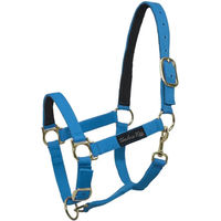 Produktbild von Pferdehalfter aus Nylon mit Lederverstärkung von Umbria Equitazione in Blau für Vollblut
