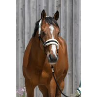 Produktbild von Pferdehalfter aus synthetischem Lammfell von Riding World für Ponys in Schwarz oder Weiß