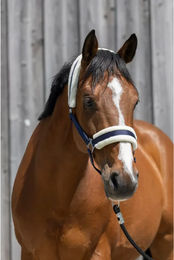 Produktbild von Pferdehalfter aus synthetischem Lammfell von Riding World in Blau