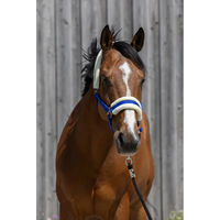 Produktbild von Pferdehalfter aus synthetischem Lammfell von Riding World in Blau und Weiß