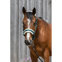Produktbild von Pferdehalfter aus synthetischem Lammfell von Riding World in Grün und Silber Größe M