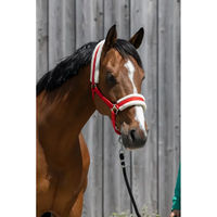 Produktbild von Pferdehalfter aus synthetischem Lammfell von Riding World in Rot für Vollblut