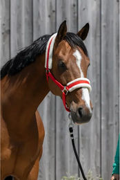 Produktbild von Pferdehalfter aus synthetischem Lammfell von Riding World in Rot und Silber