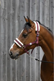 Produktbild von Pferdehalfter aus synthetischem Lammfell von Riding World in Rot und Silber