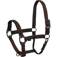 Produktbild von Pferdehalfter BR Equitation aus Nylon in Braun