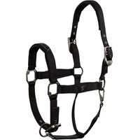 Produktbild von Pferdehalfter BR Equitation CLX Schwarz mit Neopren