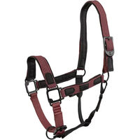 Produktbild von Pferdehalfter BR Equitation Loes aus Nylon in Braun oder Beere