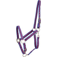 Produktbild von Pferdehalfter HorseGuard Rio aus Nylon in Blau Bunt für Vollblut