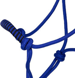 Pferdehalfter mit Clip QHP aus Polyester Blau für Ponys – Bild 1 von 2
