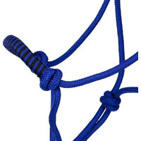 Produktbild von Pferdehalfter mit Clip QHP aus Polyester Blau für Ponys