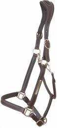 Produktbild von Pferdehalfter mit Platte T de T aus Leder in Braun für Ponys