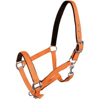 Produktbild von Pferdehalfter York aus Kunstleder in Orange