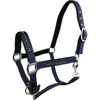 Produktbild von Pferdehalfter York aus Neopren in Blau für Vollblut