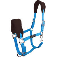 Produktbild von Pferdehalfter York aus Nylon in Blau