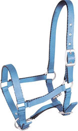 Produktbild von Pferdehalfter York Blau aus Nylon für Fohlen