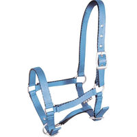 Produktbild von Pferdehalfter York Blau aus Nylon für Fohlen