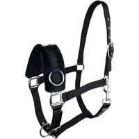 Produktbild von Pferdehalfter York Cave aus Nylon in Schwarz für Ponys