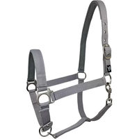 Produktbild von Pferdehalfter York Dora aus Nylon in Grau für Ponys