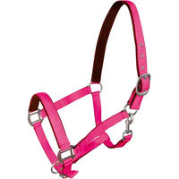 Produktbild von Pferdehalfter York Full in Rosa